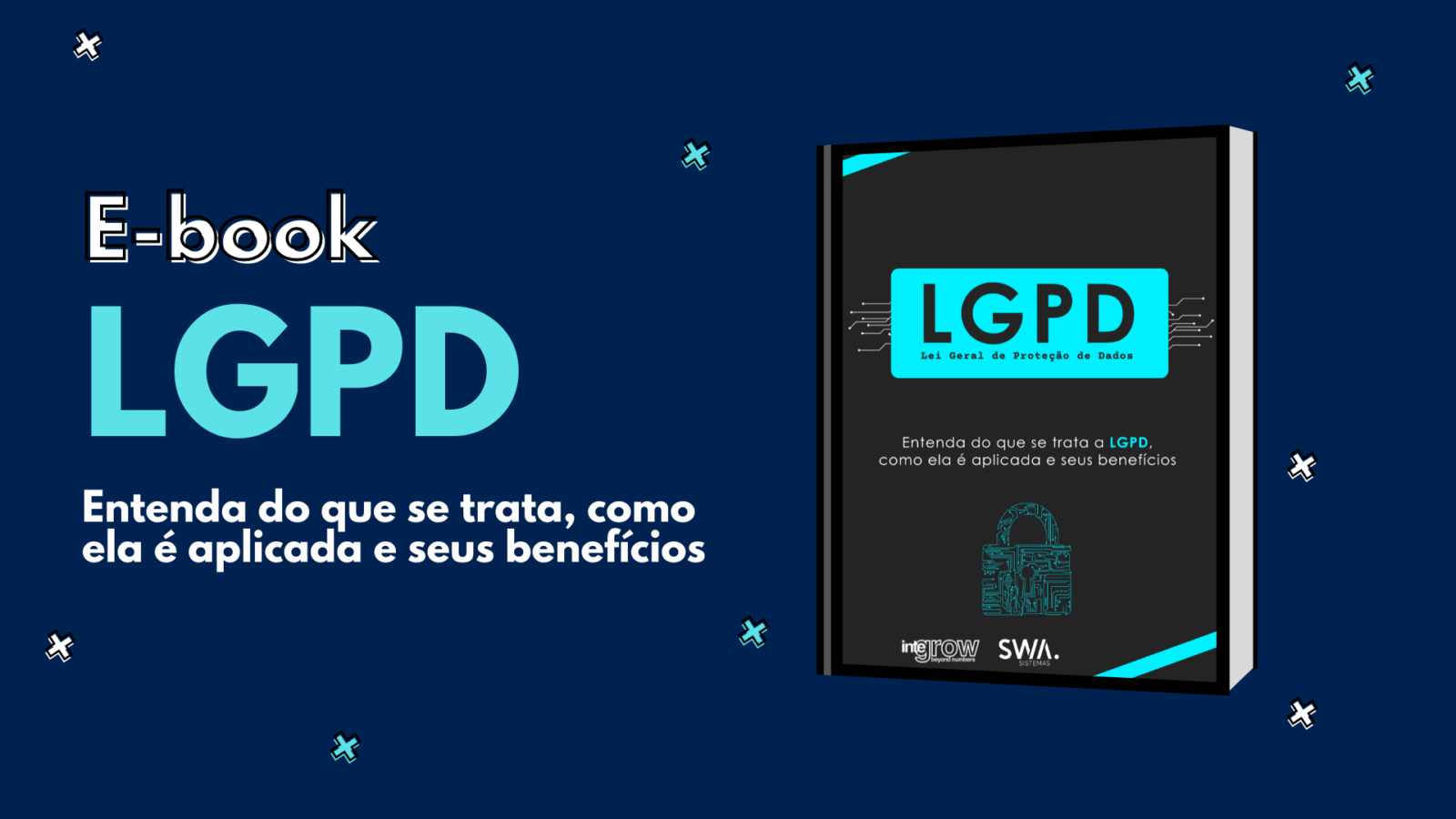 ebook lgpd